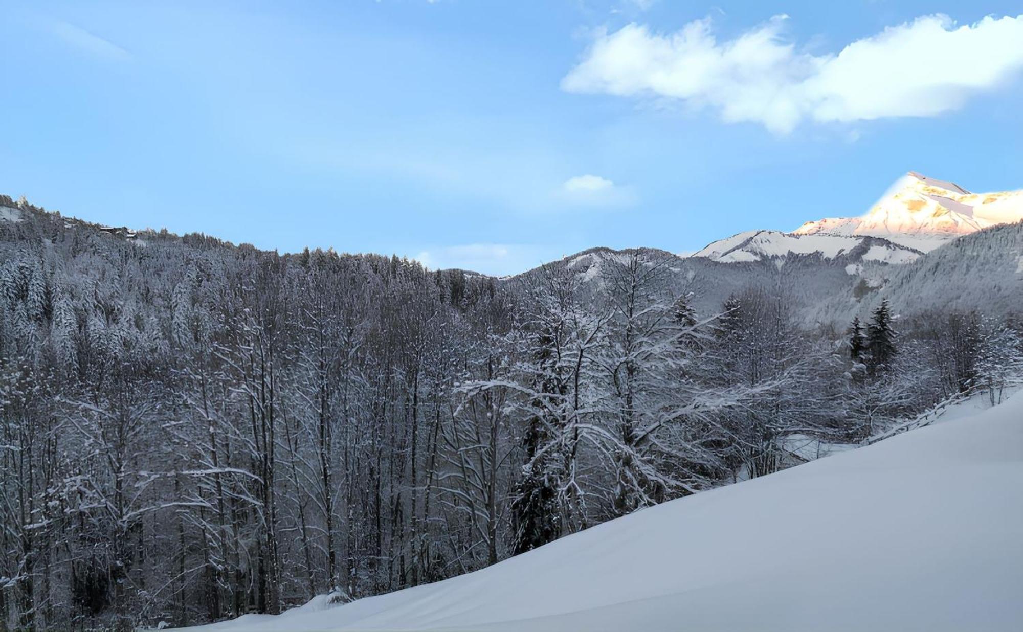 Appartement Confortable Avec Vue Sur La Montagne ノートル・ダム・ド・ベルコンブ エクステリア 写真